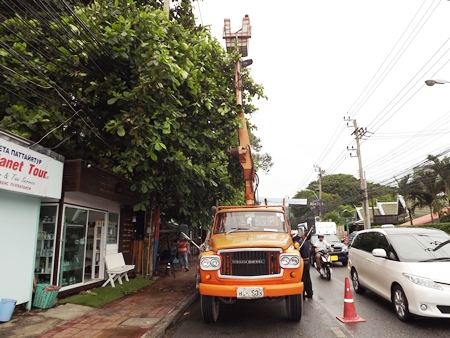 PEA workers trim trees that could break wires during windy conditions along Central and Second roads.
